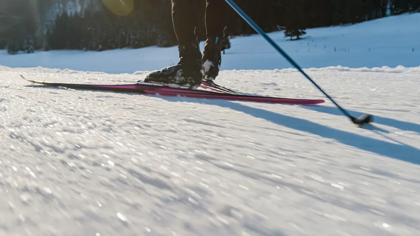 Närbild på en längdskida och en stav i snön
