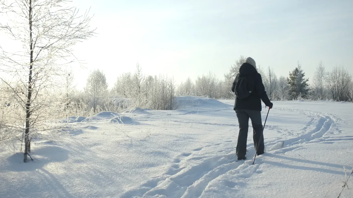 Längdskidåkare i snöig vinterterräng med frostiga träd